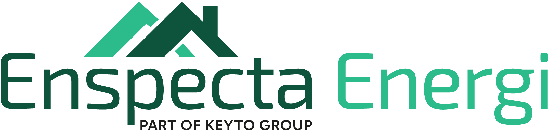 Enspecta Energi